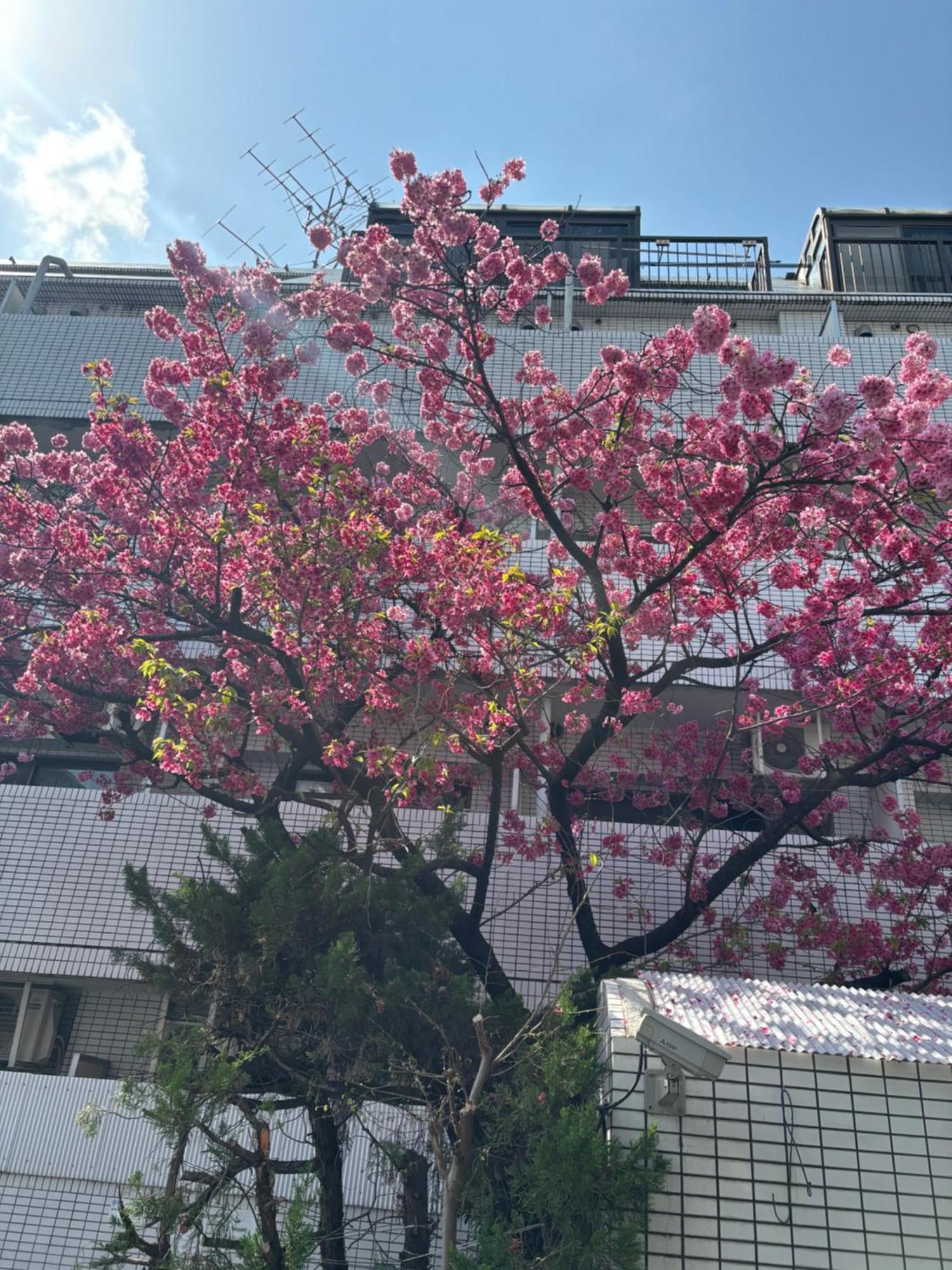 City Hotel Dolphin Tokyo Eksteriør bilde